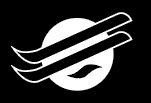 aeolus-logo-black-footer